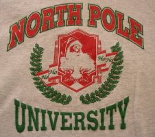 North Pole University Sweatshirt - Vintage Sz XL